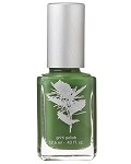660 - Peporomia Pixie