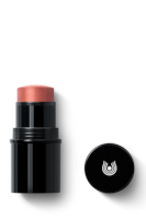 Blush/Lip Stick 01 apricot